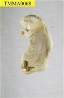 藏品(家豬)的圖片